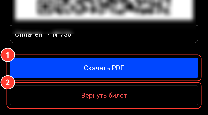 Кнопки «Скачать PDF» и «Вернуть билет» под билетами