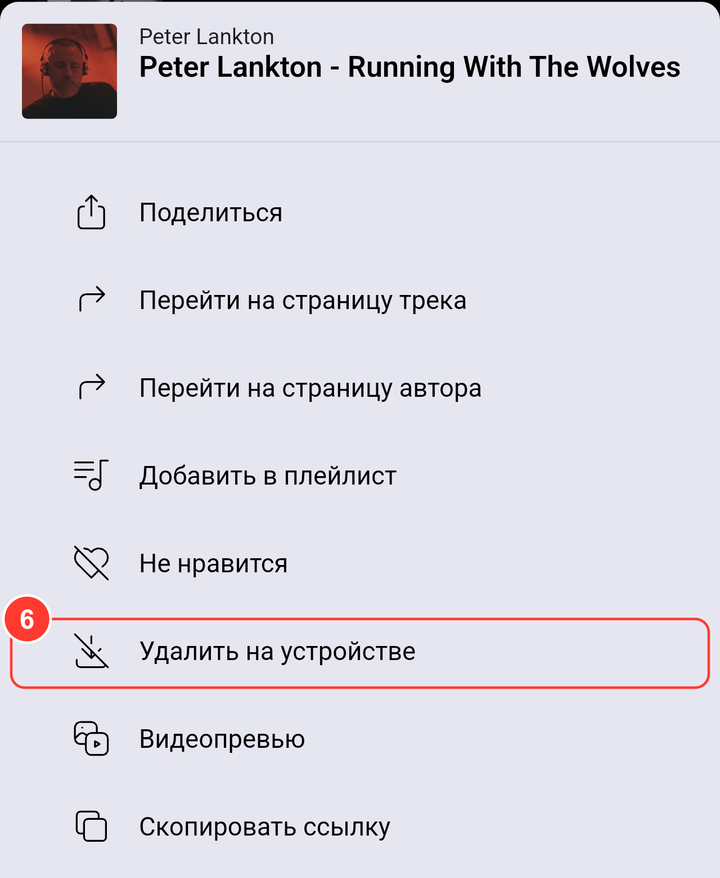 Меню скачанного трека с пунктом «Удалить на устройстве»